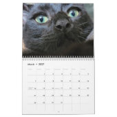 Petals Feather en Vrienden Agenda 2023 Kalender (Mar 2027)