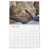 Petals Feather en Vrienden Agenda 2023 Kalender (Jan 2027)