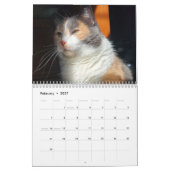Petals Feather en Vrienden Agenda 2023 Kalender (Feb 2027)