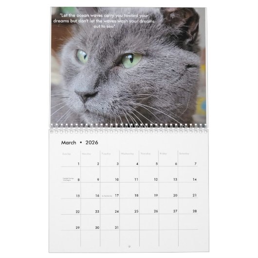 Petals Feather & Vrienden 2022 Kalender met citate (Mar 2026)