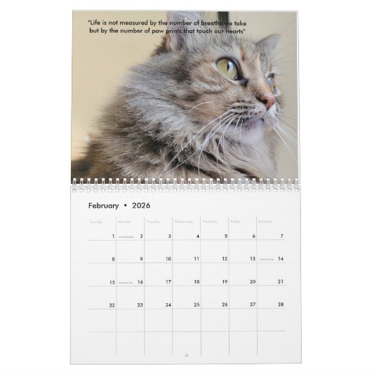 Petals Feather & Vrienden 2022 Kalender met citate (Feb 2026)