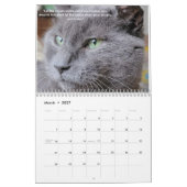 Petals Feather & Vrienden 2022 Kalender met citate (Mar 2027)