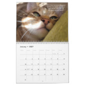 Petals Feather & Vrienden 2022 Kalender met citate (Jan 2027)