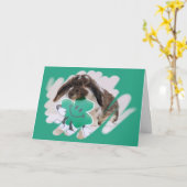 Petals-o-the-Shamrock-kaart Kaart (Gele Bloem)