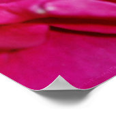 Petals of Summer Print (Hoek)