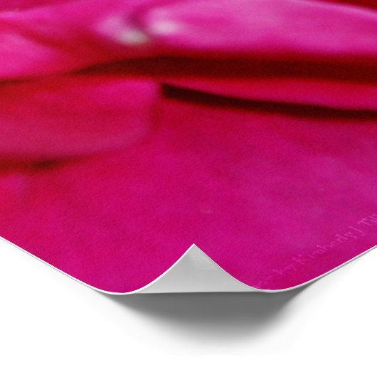 Petals of Summer Print (Hoek)