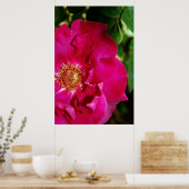 Petals of Summer Print (Keuken)