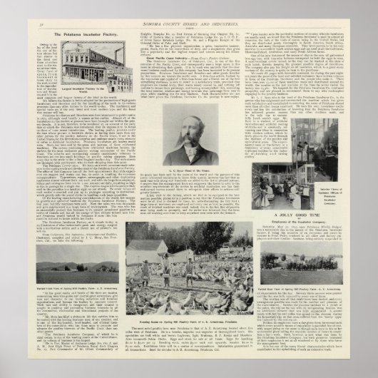 Petaluma Incubator Factory, Californië Poster (Voorkant)