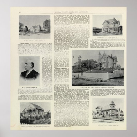 Petaluma Residences, Californië Poster (Voorkant)