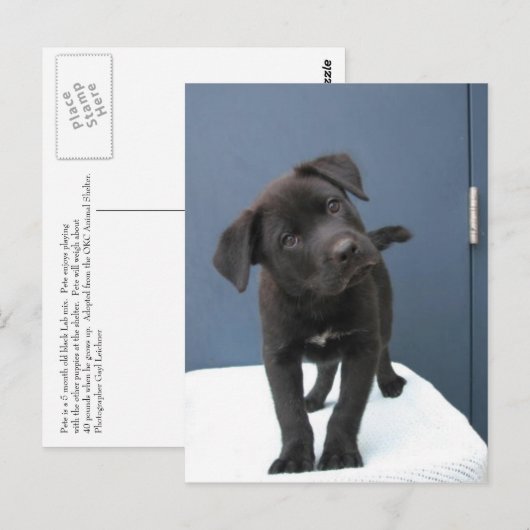 Pete Briefkaart (Voorkant / Achterkant)