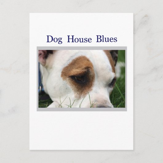 Pete Pit1 Briefkaart (Voorkant)