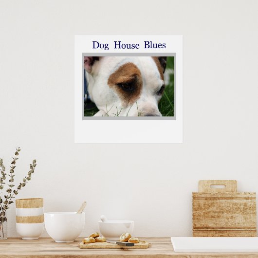Pete Pit1 Poster (Keuken)