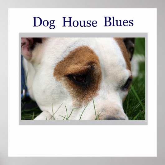 Pete Pit1 Poster (Voorkant)