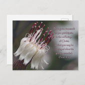 Peter 4:13 Inspirerend Floral Briefkaart (Voorkant / Achterkant)