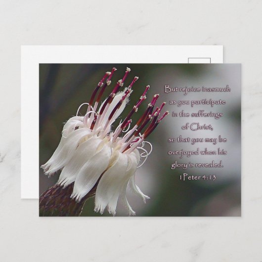 Peter 4:13 Inspirerend Floral Briefkaart (Voorkant / Achterkant)