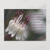 Peter 4:13 Inspirerend Floral Briefkaart (Voorkant)