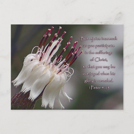 Peter 4:13 Inspirerend Floral Briefkaart (Voorkant)