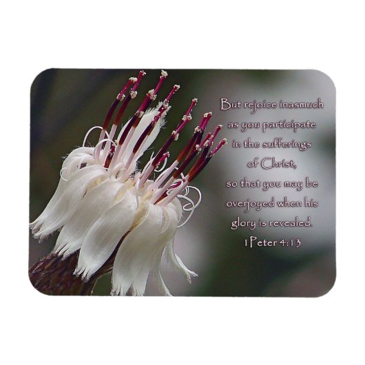 Peter 4:13 Inspirerend Floral Magneet (Horizontaal)