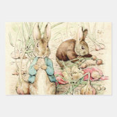 Peter & Benjamin Gather Onions by Beatrix Potter Inpakpapier Vel (Voorkant 3)