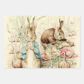 Peter & Benjamin Gather Onions by Beatrix Potter Inpakpapier Vel (Voorkant 2)