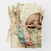 Peter & Benjamin Gather Onions by Beatrix Potter Inpakpapier Vel (In situ)