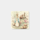 Peter & Benjamin Gather Onions by Beatrix Potter Post-it® Notes (Voorkant)