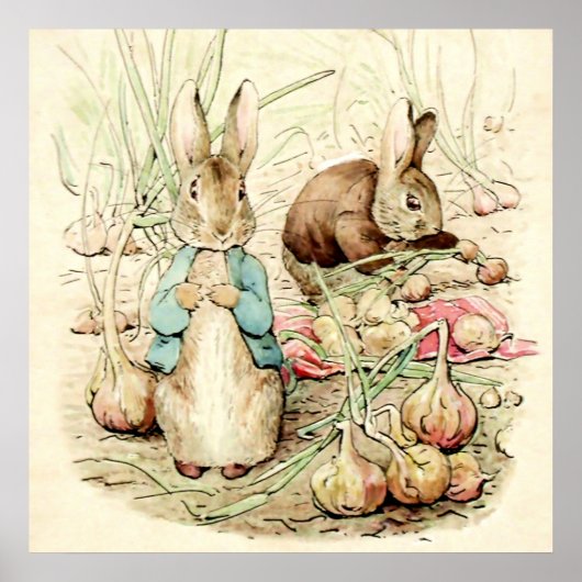 Peter & Benjamin Gather Onions by Beatrix Potter Poster (Voorkant)