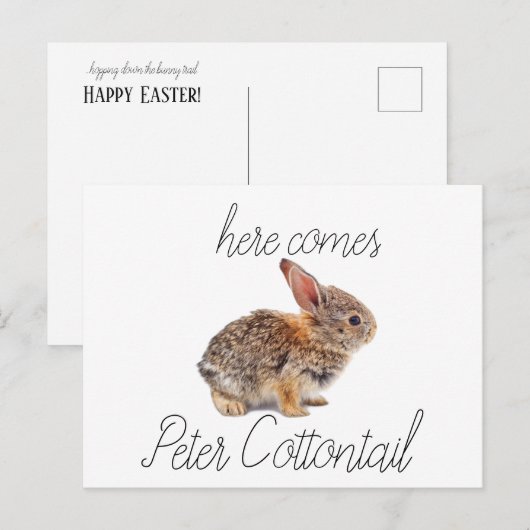 Peter Cottontail Bunny Rabbit Feestdagenkaart (Voorkant / Achterkant)