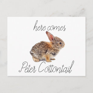 Peter Cottontail Bunny Rabbit Feestdagenkaart