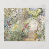 Peter de Konijn Baby shower Woorden van Wijsheid (Achterkant)