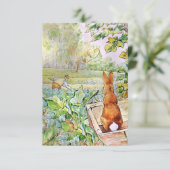 Peter de Konijn in de moestuin van de heer Mc Greg Bedankkaart (Staand voorkant)