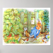 Peter de Konijn sluipt in Mc Gregor's moestuin Poster (Voorkant)