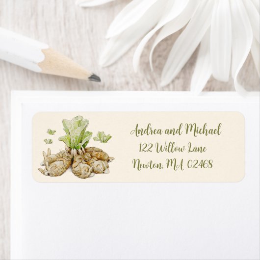 Peter de Konijn Tuin Baby shower Adres Etiket (Insitu)