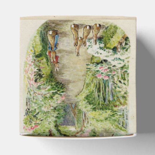 Peter de Konijn Tuin Baby shower Bedankdoosjes (Bovenkant)