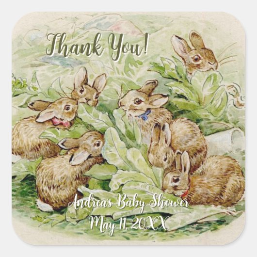 Peter de Konijn Tuin Baby shower Dank u Vierkante Sticker (Voorkant)