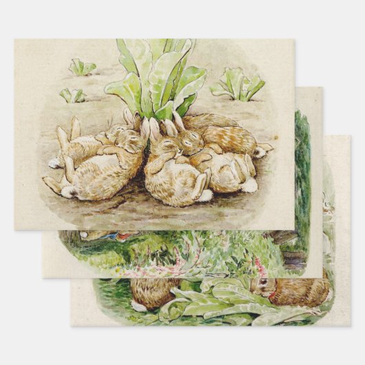 Peter de Konijn Tuin Baby shower Inpakpapier Vel (Set)