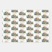 Peter de konijnenballonnen Eerste Verjaardag Inpakpapier Vel (Voorkant 2)