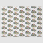 Peter de konijnenballonnen Eerste Verjaardag Tissuepapier (Voorkant)