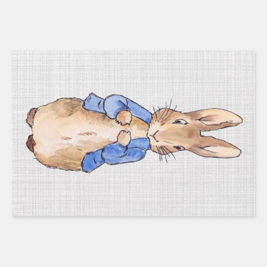 Peter de Rabbit Gray Linen achtergrond Inpakpapier Vel (Voorkant 3)