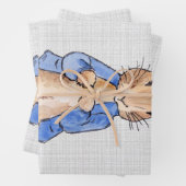 Peter de Rabbit Gray Linen achtergrond Inpakpapier Vel (In situ)