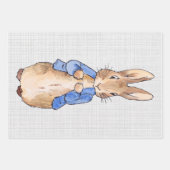 Peter de Rabbit Gray Linen achtergrond Inpakpapier Vel (Voorkant)