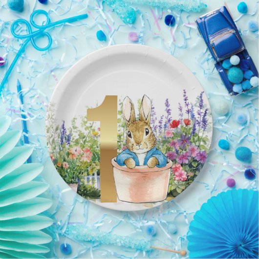 Peter het konijn in een pot eerste verjaardag papieren bordje (Feest)