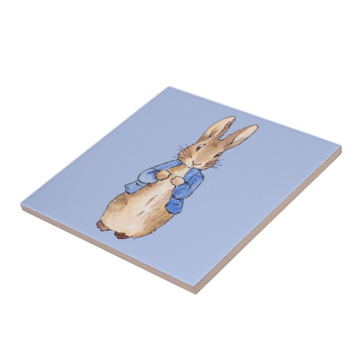 Peter het konijn tegeltje (Zijkant)