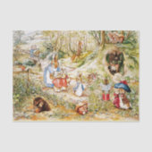 Peter het konijn tissuepapier (Voorkant)