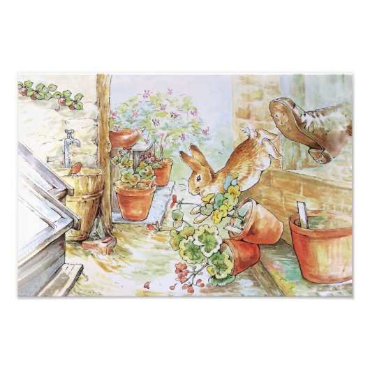 Peter het konijn tuimelt in tuinschuur foto afdruk (Voorkant)