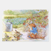 Peter het konijn tuimelt in Vegie Patch Inpakpapier Vel (Voorkant 2)