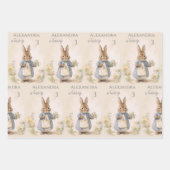 Peter het Konijn Verjaardagsfeest Inpakpapier Vel (Voorkant)