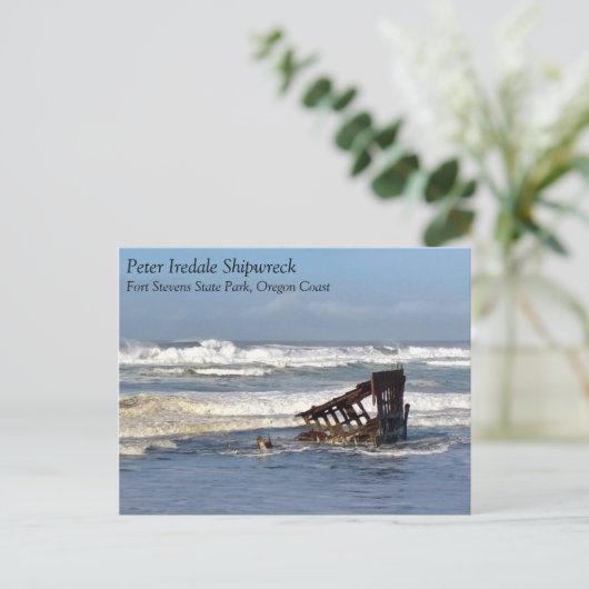 Peter Iredale Shipwreck, kust van Oregon Briefkaart (Staand voorkant)