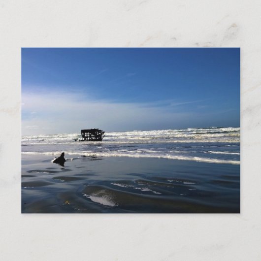 Peter Iredale Shipwreck, kust van Oregon Briefkaart (Voorkant)