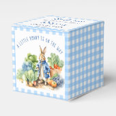 Peter konijn baby boy baby shower bedankdoosjes (Voorkant Zijde)